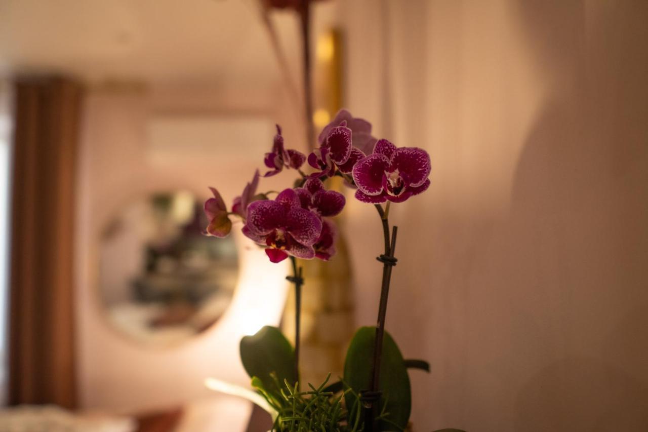 Studio Coeur De Ville Sanary Tres Cosy Parking Ngoại thất bức ảnh