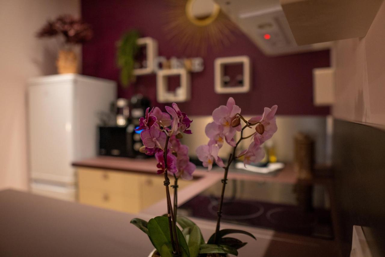 Studio Coeur De Ville Sanary Tres Cosy Parking Ngoại thất bức ảnh